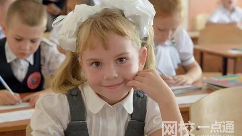 四川电子模块代理加盟，揭秘价格背后的考量因素