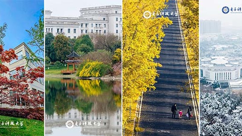电解电容鼓包的原因揭秘：从材料到工艺的全面分析